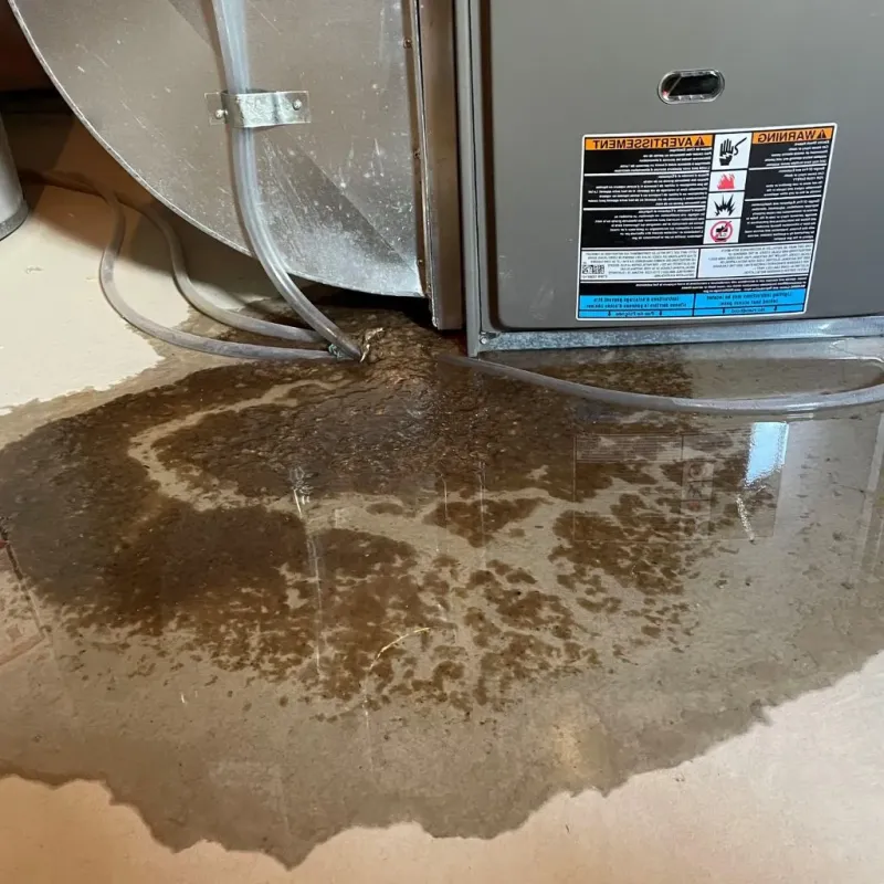 Pipe Burst and Leak Restoration in Kittery Point, ME
